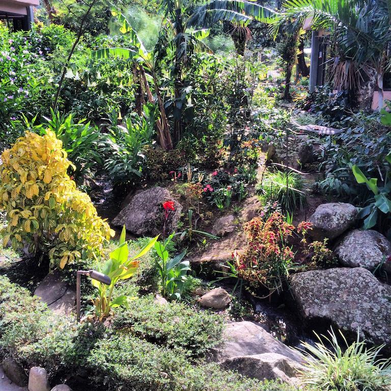 The Inn At Palo Alto Boquete Exteriér fotografie